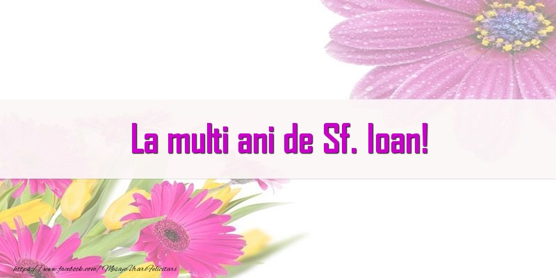 La multi ani de Sf. Ioan!