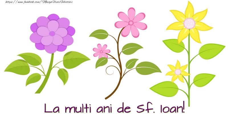 La multi ani de Sf. Ioan!