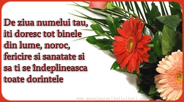 De ziua numelui tau, iti doresc tot binele din lume, noroc, fericire si sanatate ...