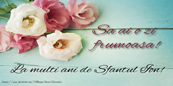 Sa ai o zi  frumoasa! La multi ani de Sfantul Ion!