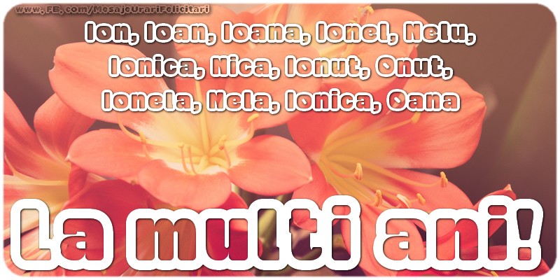 La multi ani, Ion, Ioan, Ioana, Ionel, Nelu, Ionica, Nica, Ionut, Onut, Ionela, Nela, Ionica, Oana
