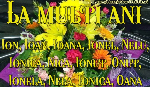 La multi ani! Ion, Ioan, Ioana, Ionel, Nelu, Ionica, Nica, Ionut, Onut, Ionela, Nela, Ionica, Oana