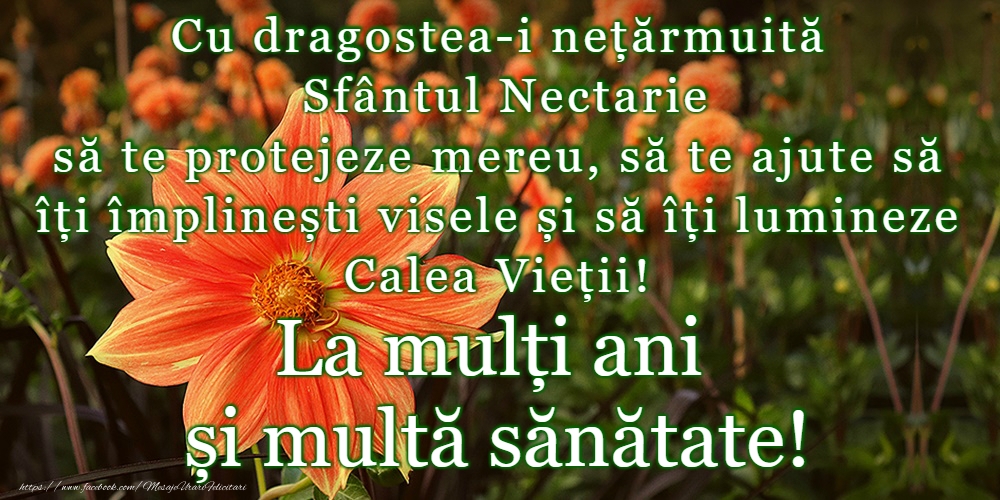 Felicitari de Sfantul Nectarie - 9 Noiembrie - Sfântul Nectarie - mesajeurarifelicitari.com