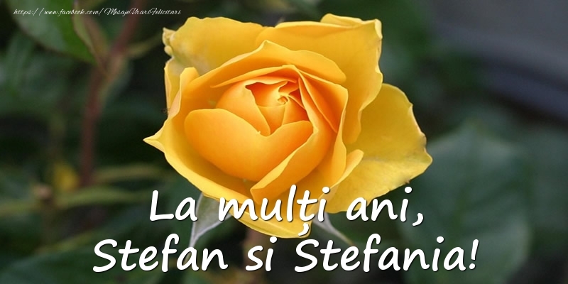 Descarca felicitarea - Felicitari de Sfantul Stefan - La multi ani, Stefan si Stefania! - mesajeurarifelicitari.com