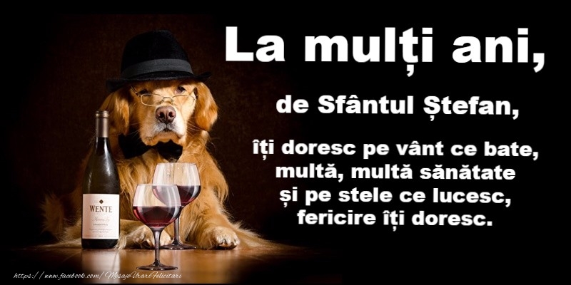 La multi ani de Sfantul Stefan!