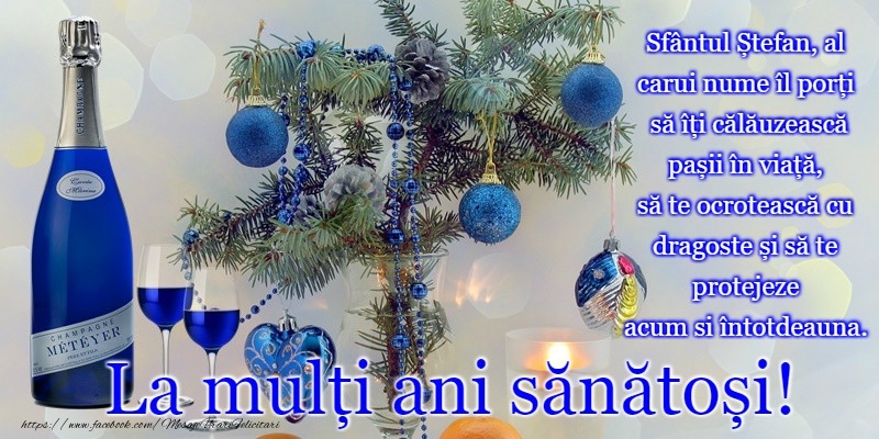La multi ani de Sfantul Stefan!