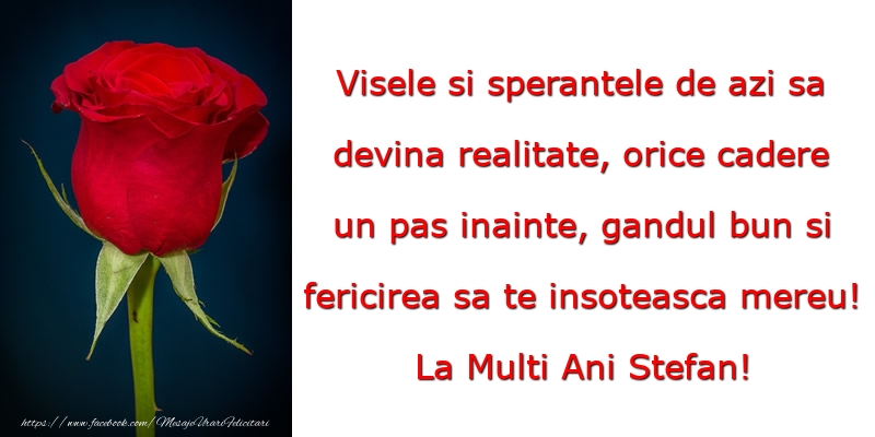 La Multi Ani Stefan!