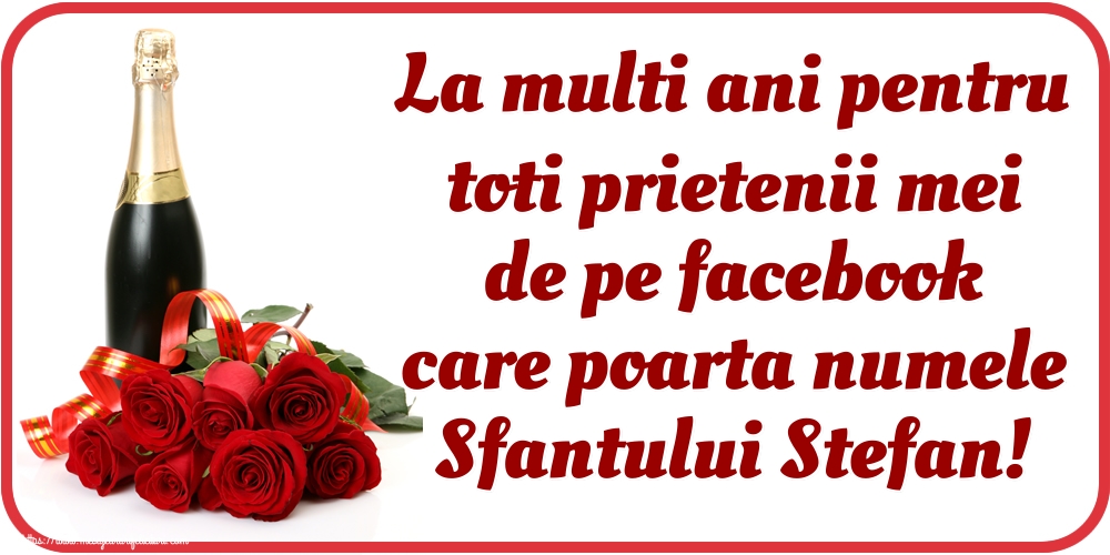 La multi ani pentru toti prietenii mei de pe facebook care poarta numele Sfantului Stefan!