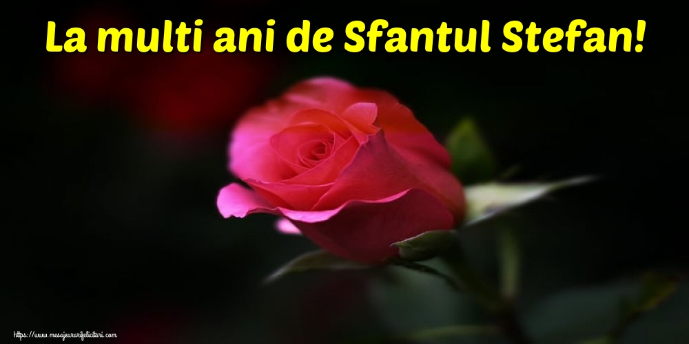 Sfantul Stefan La multi ani de Sfantul Stefan!