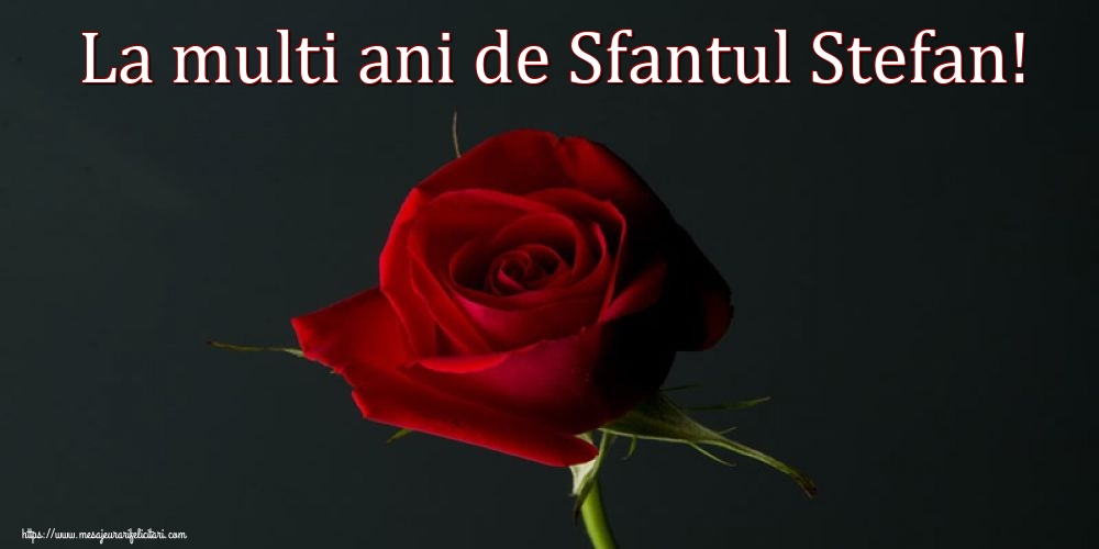 La multi ani de Sfantul Stefan!