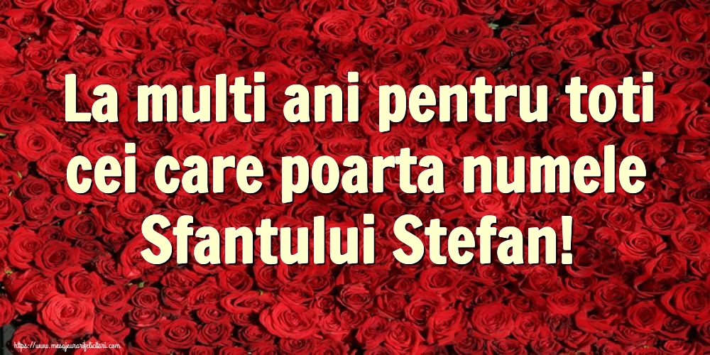 La multi ani pentru toti cei care poarta numele Sfantului Stefan!