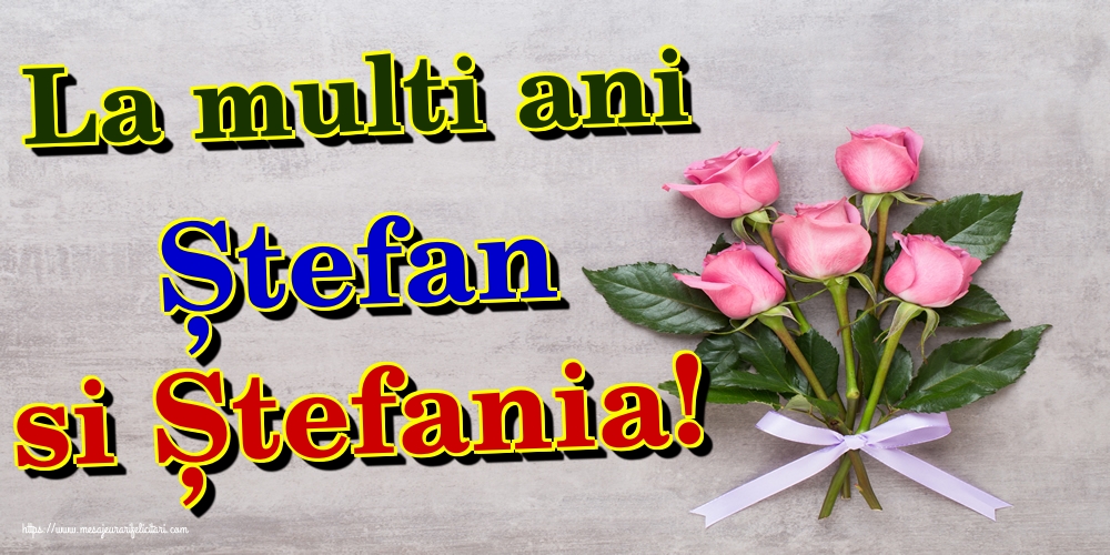 La multi ani Ștefan si Ștefania!