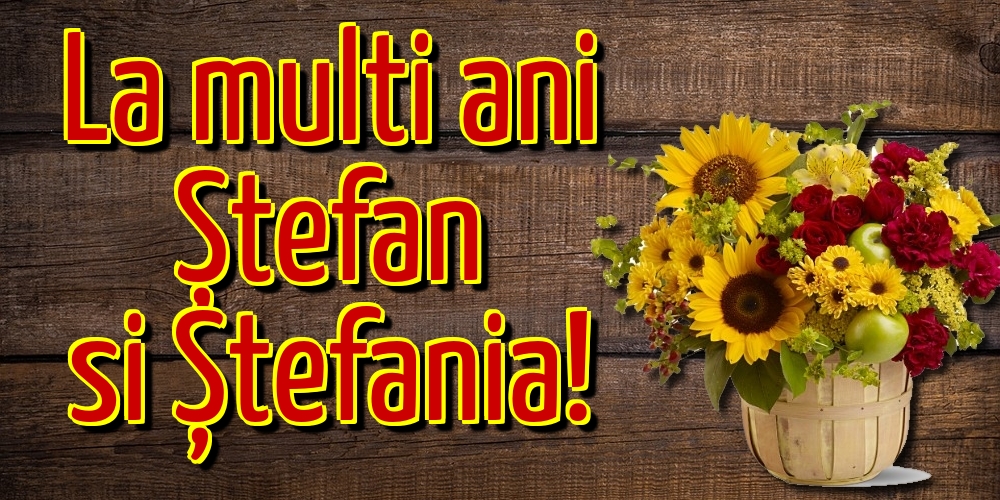 La multi ani Ștefan si Ștefania!