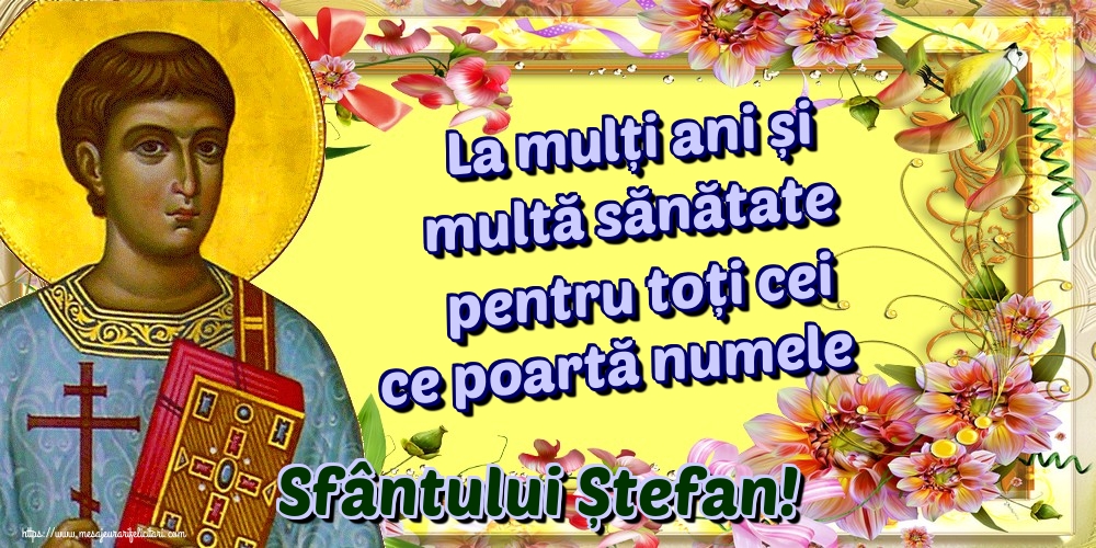 La mulți ani și multă sănătate pentru toți cei ce poartă numele Sfântului Ștefan!