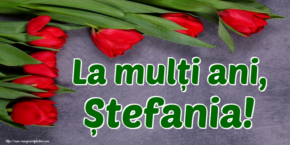 Felicitari de Sfantul Stefan - La mulți ani, Ștefania! - mesajeurarifelicitari.com