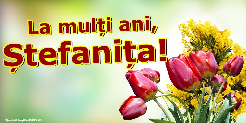 La mulți ani, Ștefanița!