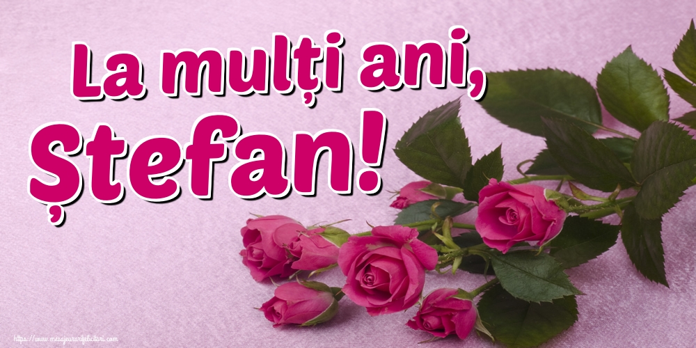 La mulți ani, Ștefan!