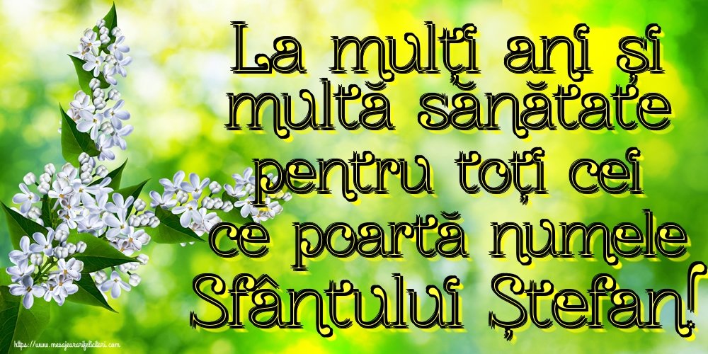 Felicitari de Sfantul Stefan - La mulți ani și multă sănătate pentru toți cei ce poartă numele Sfântului Ștefan! - mesajeurarifelicitari.com