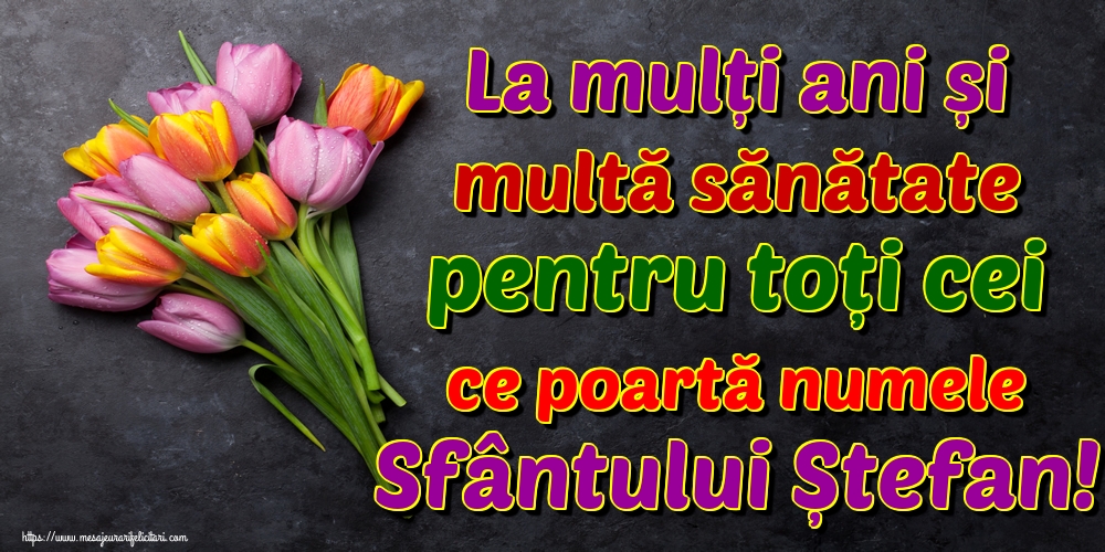 Felicitari de Sfantul Stefan - La mulți ani și multă sănătate pentru toți cei ce poartă numele Sfântului Ștefan! - mesajeurarifelicitari.com
