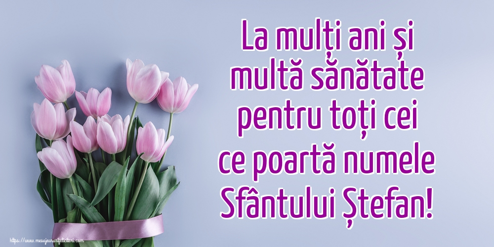 La mulți ani și multă sănătate pentru toți cei ce poartă numele Sfântului Ștefan!
