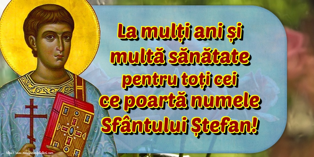 La mulți ani și multă sănătate pentru toți cei ce poartă numele Sfântului Ștefan!