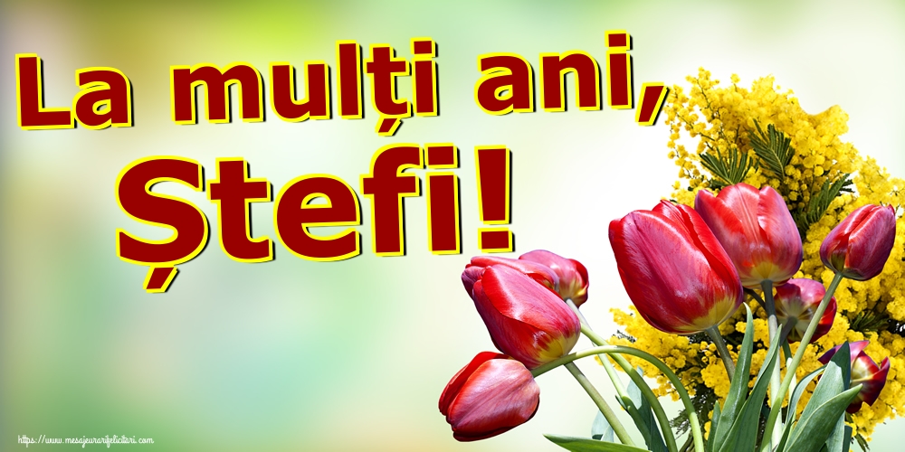 La mulți ani, Ștefi!
