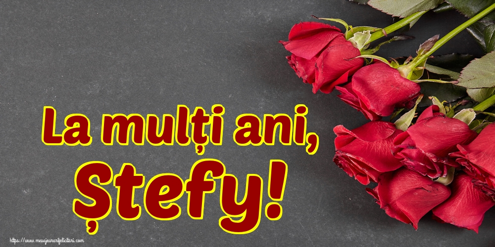 La mulți ani, Ștefy!