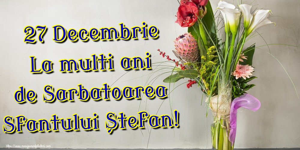 27 Decembrie La multi ani de Sarbatoarea Sfantului Ștefan!