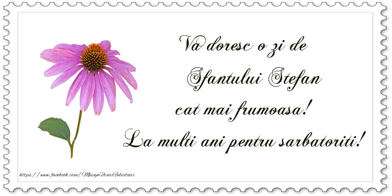 Va doresc o zi de Sfantului Stefan cat mai frumoasa! La multi ani pentru sarbatoriti!
