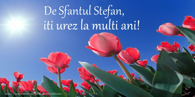 De Sfantul Stefan, iti urez La multi ani!