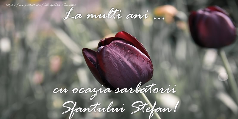 La multi ani ... cu ocazia sarbatorii Sfantului Stefan!