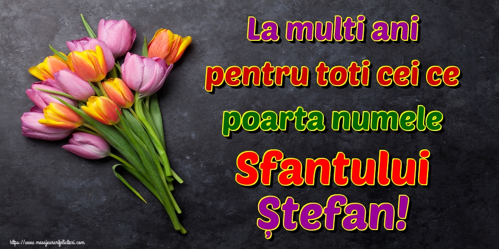 Felicitari de Sfantul Stefan - La multi ani pentru toti cei ce poarta numele Sfantului Ștefan! - mesajeurarifelicitari.com