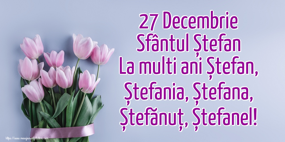 27 Decembrie Sfântul Ștefan La multi ani Ștefan, Ștefania, Ștefana, Ștefănuț, Ștefanel!