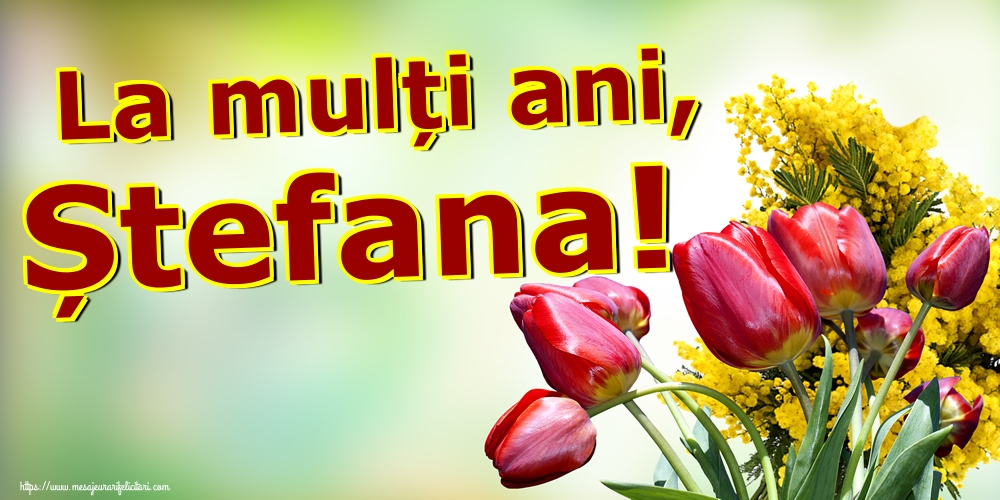 La mulți ani, Ștefana!