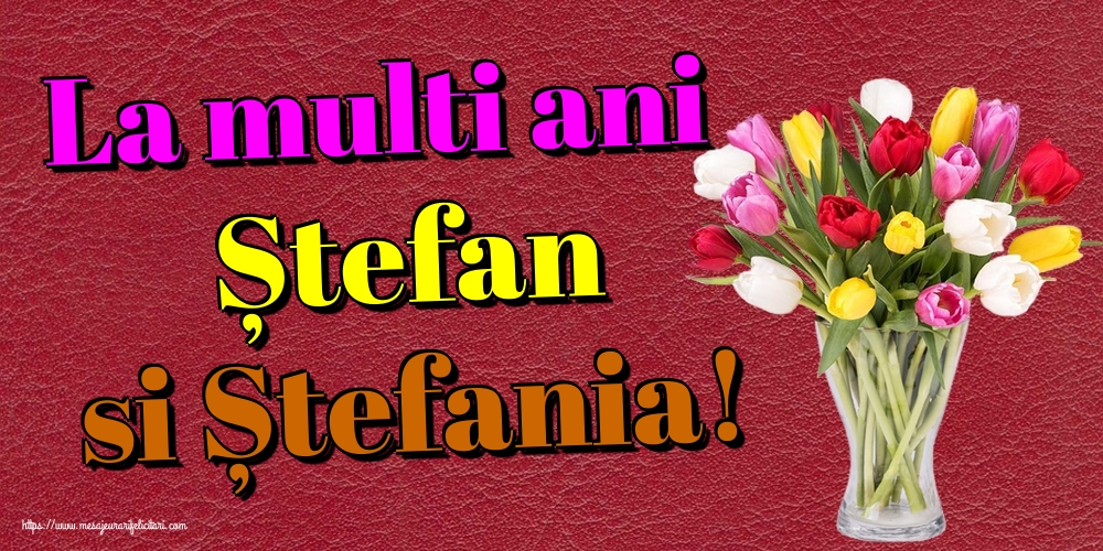 La multi ani Ștefan si Ștefania!