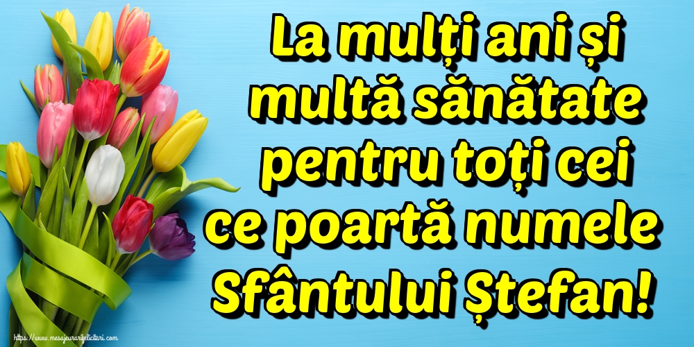 La mulți ani și multă sănătate pentru toți cei ce poartă numele Sfântului Ștefan!