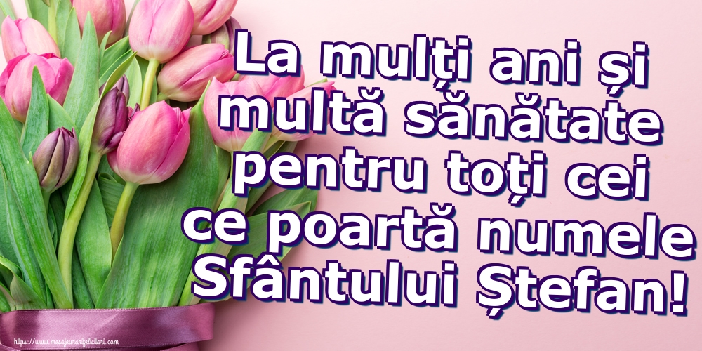 La mulți ani și multă sănătate pentru toți cei ce poartă numele Sfântului Ștefan!