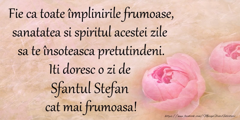 Fie ca toate implinirile frumoase, sanatatea si spiritul acestei zile sa te insoteasca pretutindeni. Iti doresc o zi de Sfantul Stefan cat mai frumoasa!