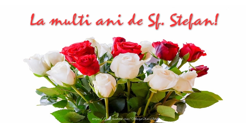 La multi ani de Sf. Stefan!