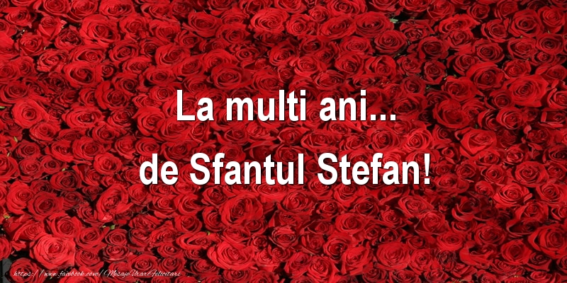 La multi ani... de Sfantul Stefan!