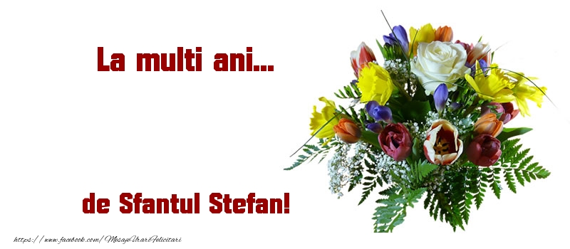 La multi ani... de Sfantul Stefan!