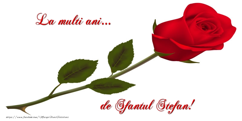 La multi ani... de Sfantul Stefan!