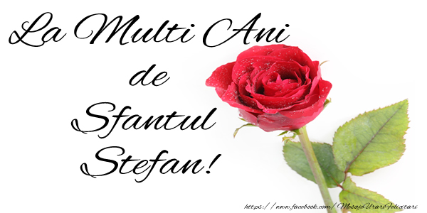 La multi ani de Sfantul Stefan!