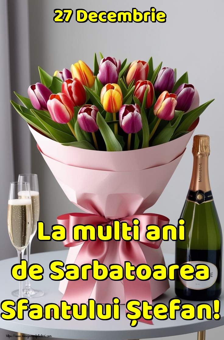 27 Decembrie La multi ani de Sarbatoarea Sfantului Ștefan!