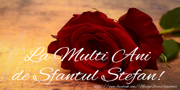 La multi ani de Sfantul Stefan!
