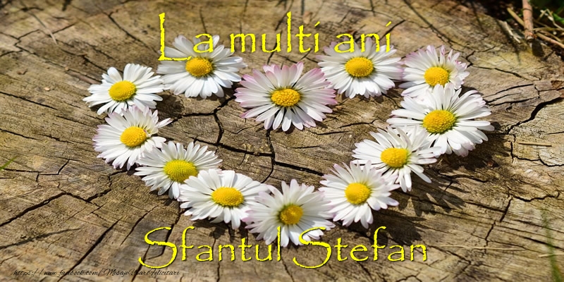 La multi ani de Sfantul Stefan!