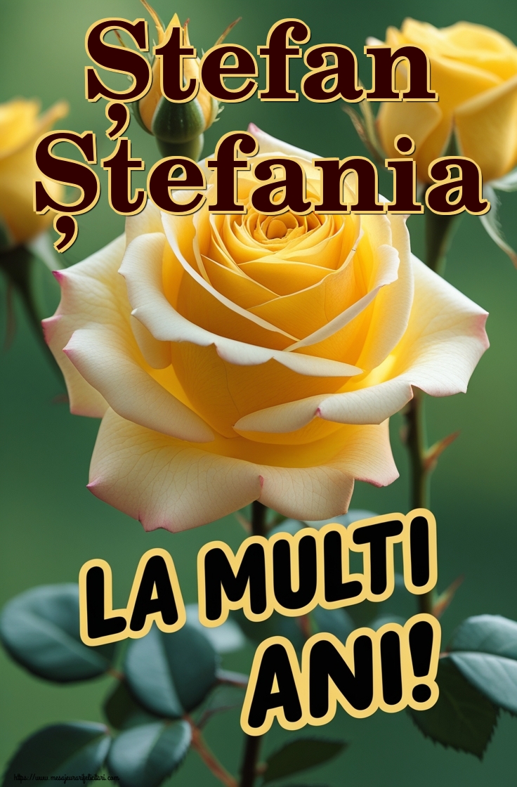 Ștefan Ștefania