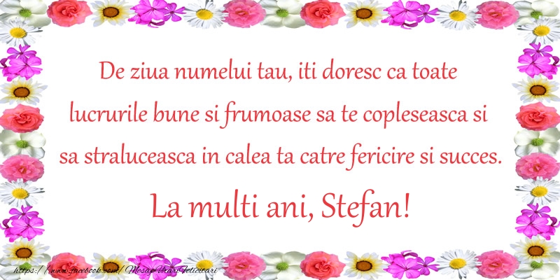 De ziua numelui tau, iti doresc ca toate lucrurile bune si frumoase sa te copleseasca si sa straluceasca in calea ta catre fericire si succes. La Multi Ani Stefan!