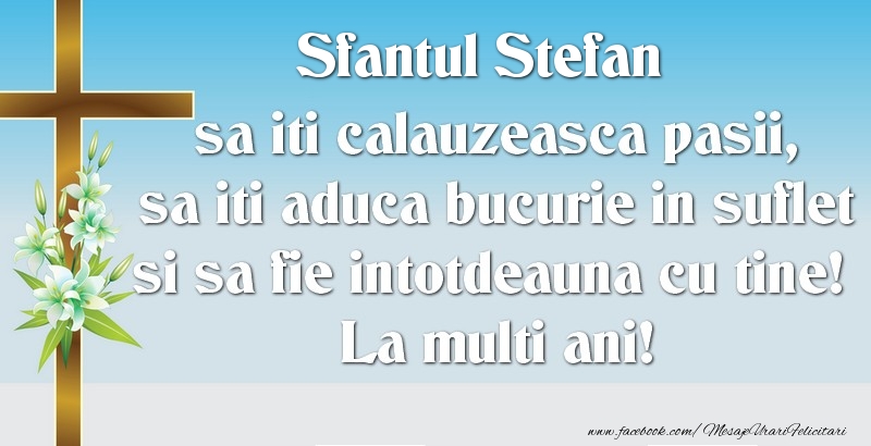 Sfantul Stefan