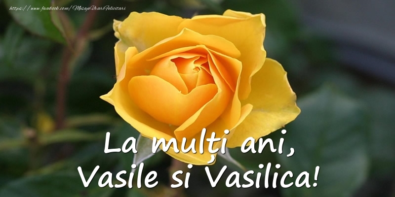 La multi ani, Vasile si Vasilica!
